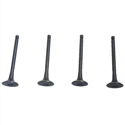 1003011FA IZPLŪDES VĀRSTI